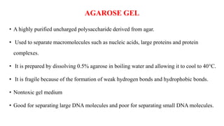 AGAROSE GEL
• A highly purified uncharged polysaccharide derived from agar.
• Used to separate macromolecules such as nucleic acids, large proteins and protein
complexes.
• It is prepared by dissolving 0.5% agarose in boiling water and allowing it to cool to 40°C.
• It is fragile because of the formation of weak hydrogen bonds and hydrophobic bonds.
• Nontoxic gel medium
• Good for separating large DNA molecules and poor for separating small DNA molecules.
 