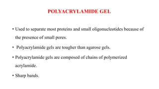 POLYACRYLAMIDE GEL
• Used to separate most proteins and small oligonucleotides because of
the presence of small pores.
• Polyacrylamide gels are tougher than agarose gels.
• Polyacrylamide gels are composed of chains of polymerized
acrylamide.
• Sharp bands.
 