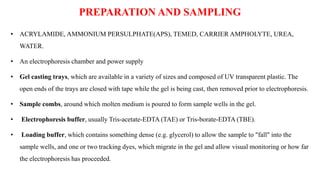 PREPARATION AND SAMPLING
• ACRYLAMIDE, AMMONIUM PERSULPHATE(APS), TEMED, CARRIER AMPHOLYTE, UREA,
WATER.
• An electrophoresis chamber and power supply
• Gel casting trays, which are available in a variety of sizes and composed of UV transparent plastic. The
open ends of the trays are closed with tape while the gel is being cast, then removed prior to electrophoresis.
• Sample combs, around which molten medium is poured to form sample wells in the gel.
• Electrophoresis buffer, usually Tris-acetate-EDTA (TAE) or Tris-borate-EDTA (TBE).
• Loading buffer, which contains something dense (e.g. glycerol) to allow the sample to "fall" into the
sample wells, and one or two tracking dyes, which migrate in the gel and allow visual monitoring or how far
the electrophoresis has proceeded.
 