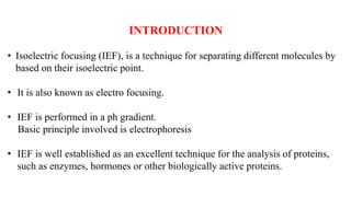 INTRODUCTION
• Isoelectric focusing (IEF), is a technique for separating different molecules by
based on their isoelectric point.
• It is also known as electro focusing.
• IEF is performed in a ph gradient.
Basic principle involved is electrophoresis
• IEF is well established as an excellent technique for the analysis of proteins,
such as enzymes, hormones or other biologically active proteins.
 