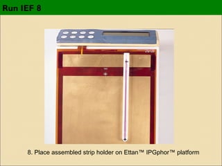 Run IEF 8

8. Place assembled strip holder on Ettan™ IPGphor™ platform

 