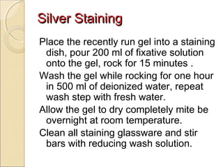 Silver Staining
Place the recently run gel into a staining
dish, pour 200 ml of fixative solution
onto the gel, rock for 15 minutes .
Wash the gel while rocking for one hour
in 500 ml of deionized water, repeat
wash step with fresh water.
Allow the gel to dry completely mite be
overnight at room temperature.
Clean all staining glassware and stir
bars with reducing wash solution.

 