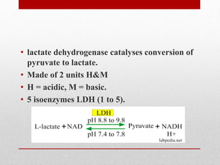 • lactate dehydrogenase catalyses conversion of
pyruvate to lactate.
• Made of 2 units H&M
• H = acidic, M = basic.
• 5 isoenzymes LDH (1 to 5).
 