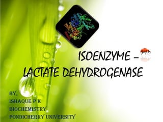 ISOENZYME –
LACTATE DEHYDROGENASE
by,
ISHAQUE P K
bIOCHEMISTRy
POndICHERRy UnIvERSITy

 