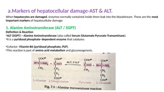 ISOENZYMES In Human body.10 Different clinically important enzymes | PPTX