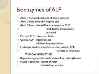25
Isoenzymes of ALP
 Alpha 1 ALP-epithelial cells of biliary canaliculi
 Alpha 2 heat labile ALP- hepatic cells
 Alpha 2 heat stable ALP-not destroyed at 65˚C
 inhibited by phenylalanine
 placental
 Pre beta ALP – bone,heat labile
 Gamma ALP – intestinal cells
 inhibited by phenylalanine
 Leukocyte alkaline phosphatase –decreased in CML
 increase in lymphoma
ATYPICAL ISOENZYMES
 Regan isoenzyme-heat stable,inhibited by L-phenylalanine
 Nagao isoenzyme- variant of regan
 inhibited by L-leucine
 