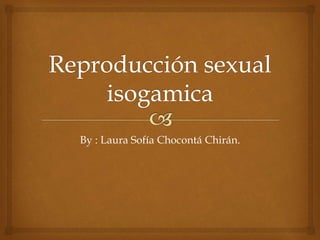 By : Laura Sofía Chocontá Chirán. 
 