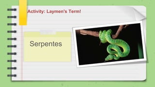 Activity: Laymen's Term!
Serpentes
 