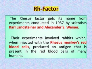 • The Rhesus factor gets its name from
experiments conducted in 1937 by scientists
Karl Landsteiner and Alexander S. Weiner.
• Their experiments involved rabbits which,
when injected with the Rhesus monkey's red
blood cells, produced an antigen that is
present in the red blood cells of many
humans.
 