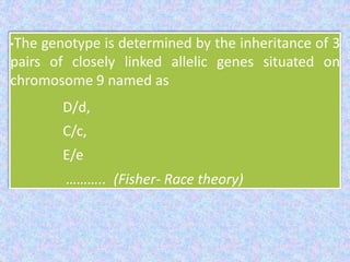•The genotype is determined by the inheritance of 3
pairs of closely linked allelic genes situated on
chromosome 9 named as
D/d,
C/c,
E/e
……….. (Fisher- Race theory)
 