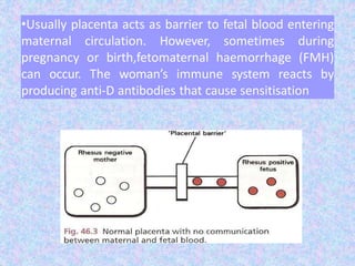 •Usually placenta acts as barrier to fetal blood entering
maternal circulation. However, sometimes during
pregnancy or birth,fetomaternal haemorrhage (FMH)
can occur. The woman’s immune system reacts by
producing anti-D antibodies that cause sensitisation
 