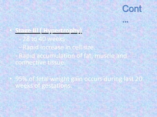 • Stage III ( Hypertrophy)
- 28 to 40 weeks
- Rapid increase in cell size.
- Rapid accumulation of fat, muscle and
connective tissue.
• 95% of fetal weight gain occurs during last 20
weeks of gestations.
 