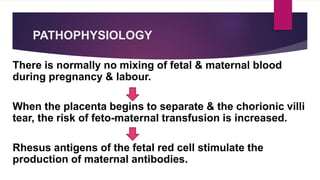 PATHOPHYSIOLOGY
There is normally no mixing of fetal & maternal blood
during pregnancy & labour.
When the placenta begins to separate & the chorionic villi
tear, the risk of feto-maternal transfusion is increased.
Rhesus antigens of the fetal red cell stimulate the
production of maternal antibodies.
 