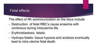 Fetal effects
The effect of Rh isoimmunization on the fetus include
• Destruction of fetal RBC’s cause anaemia with
continious during intrauterine life.
• Erythroblastosis fetalis.
• Hydrops fetalis: tissue hypoxia and acidosis eventually
lead to intra uterine fetal death.
 