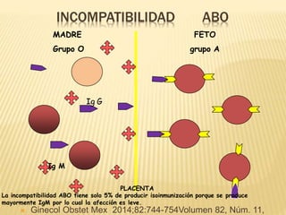 INCOMPATIBILIDAD ABO
MADRE
Grupo O
FETO
grupo A
Ig G
Ig M
PLACENTA
La incompatibilidad ABO tiene solo 5% de producir isoinmunización porque se produce
mayormente IgM por lo cual la afección es leve.
 Ginecol Obstet Mex 2014;82:744-754Volumen 82, Núm. 11,
 