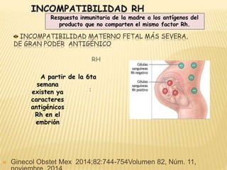 INCOMPATIBILIDAD MATERNO FETAL MÁS SEVERA,
DE GRAN PODER ANTIGÉNICO
Respuesta inmunitaria de la madre a los antígenos del
producto que no comparten el mismo factor Rh.
A partir de la 6ta
semana
existen ya
caracteres
antigénicos
Rh en el
embrión
 Ginecol Obstet Mex 2014;82:744-754Volumen 82, Núm. 11,
 