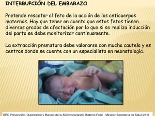 INTERRUPCIÓN DEL EMBARAZO
Pretende rescatar al feto de la acción de los anticuerpos
maternos. Hay que tener en cuenta que estos fetos tienen
diversos grados de afectación por lo que si se realiza inducción
del parto se debe monitorizar continuamente.
La extracción prematura debe valorarse con mucha cautela y en
centros donde se cuente con un especialista en neonatología.
 