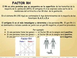 El Rh es otra proteína que se encuentra en la superficie de los hematíes de la
mayoría de la población (85%). El antigeno rh d se expresa como oarte de la
membrana del eritrocito a los 38 dias de la gestación.
En el sistema Rh (>50 Ags) se contemplan 6 Ags determinantes de la mayoría de los
fenotipos: D,d,C,c,E,e
El antígeno D es el más inmunógeno y determina a las personas Rh. El gen Rh (+)
es dominante e incluso cuando se junta con un gen Rh negativo, el positivo prevalece.
Por ejemplo:
Si una persona tiene los genes + +, el factor Rh en la sangre será positivo.
Si una persona tiene los genes + -, el factor Rh en la sangre será positivo.
Si una persona tiene los genes - -, el factor Rh en la sangre será negativo.
 