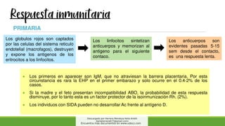 isoinmunizcion-mater-196950-downloadable-1682164.pdf