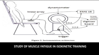 STUDY OF MUSCLE FATIGUE IN ISOKINETIC TRAINING
 