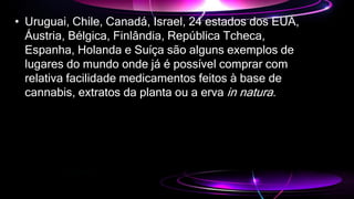 • Uruguai, Chile, Canadá, Israel, 24 estados dos EUA,
Áustria, Bélgica, Finlândia, República Tcheca,
Espanha, Holanda e Suíça são alguns exemplos de
lugares do mundo onde já é possível comprar com
relativa facilidade medicamentos feitos à base de
cannabis, extratos da planta ou a erva in natura.
 