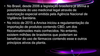 • No Brasil, desde 2006 a legislação brasileira já afirma a
possibilidade do uso medicinal legal através de
autorização especial emitida pela Agência Nacional de
Vigilância Sanitária.
• No início de 2015 a Anvisa iniciou a regulamentação da
importação de produtos contendo CBD, um dos
fitocannabinoides mais conhecidos. No entanto,
existem milhões de brasileiros que poderiam se
beneficiar do uso de fármacos contendo esse e outros
princípios ativos da planta.
 
