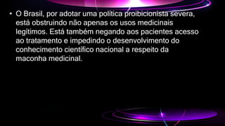 • O Brasil, por adotar uma política proibicionista severa,
está obstruindo não apenas os usos medicinais
legítimos. Está também negando aos pacientes acesso
ao tratamento e impedindo o desenvolvimento do
conhecimento científico nacional a respeito da
maconha medicinal.
 