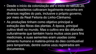• Desde o início da colonização até o início do século 20,
muitos brasileiros cultivaram legalmente maconha em
diversas regiões do país, inclusive o próprio governo,
por meio da Real Feitoria do Linho-Cânhamo.
• As produções tinham como objetivo principal a
extração das fibras das plantas. À época, principal
cultivo têxtil no mundo. Mas o cultivo era tão difundido
culturalmente que também havia muitos usos para fins
medicinais, e suas sementes eram usadas como
alimento humano e matéria-prima do óleo combustível
para lamparinas, dentre outros usos registrados em
documentos.
 
