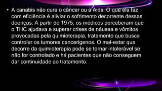 • A canabis não cura o câncer ou a Aids. O que ela faz
com eficiência é aliviar o sofrimento decorrente dessas
doenças. A partir de 1975, os médicos perceberam que
o THC ajudava a superar crises de náusea e vômitos
provocadas pela quimioterapia, tratamento que busca
controlar os tumores cancerígenos. O mal-estar que
decorre da quimioterapia pode se tornar intolerável se
não for controlado e há pacientes que não conseguem
dar continuidade ao tratamento.
 