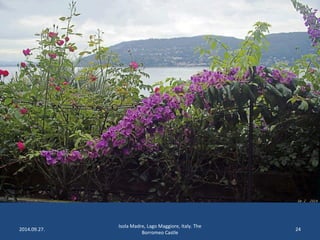 2014.09.27. 
Isola Madre, Lago Maggiore, Italy. The 
Borromeo Castle 
24 
 