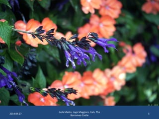 2014.09.27. 
Isola Madre, Lago Maggiore, Italy. The 
Borromeo Castle 
5 
 