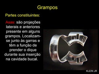 Grampos Asas:  são projeções laterais e anteriores presente em alguns grampos. Localizam-se junto às garras e têm a função de prender o dique durante sua inserção  na cavidade bucal.  Partes constituintes: KLEIN JR 