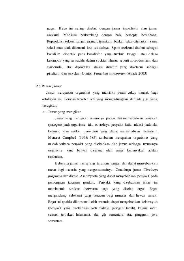 Contoh Laporan Yang Mengandung 5w+1h Contoh Gurindam x