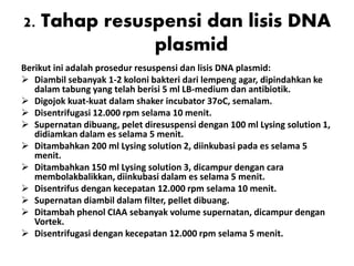 2. Tahap resuspensi dan lisis DNA
plasmid
Berikut ini adalah prosedur resuspensi dan lisis DNA plasmid:
 Diambil sebanyak 1-2 koloni bakteri dari lempeng agar, dipindahkan ke
dalam tabung yang telah berisi 5 ml LB-medium dan antibiotik.
 Digojok kuat-kuat dalam shaker incubator 37oC, semalam.
 Disentrifugasi 12.000 rpm selama 10 menit.
 Supernatan dibuang, pelet diresuspensi dengan 100 ml Lysing solution 1,
didiamkan dalam es selama 5 menit.
 Ditambahkan 200 ml Lysing solution 2, diinkubasi pada es selama 5
menit.
 Ditambahkan 150 ml Lysing solution 3, dicampur dengan cara
membolakbalikkan, diinkubasi dalam es selama 5 menit.
 Disentrifus dengan kecepatan 12.000 rpm selama 10 menit.
 Supernatan diambil dalam filter, pellet dibuang.
 Ditambah phenol CIAA sebanyak volume supernatan, dicampur dengan
Vortek.
 Disentrifugasi dengan kecepatan 12.000 rpm selama 5 menit.
 