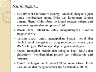 Sambungan...
 PCI (Phenol-Chloroform-Isoamyl Alcohol) dengan tujuan
untuk memisahkan antara DNA dan komponen lainnya
dimana Phenol-Chloroform berfungsi sebagai pelarut dari
senyawa organik dan komponen lipid.
 RNase dapat diberikan untuk menghilangkan sisa-sisa
fragmen RNA.
 natrium acetat untuk menciptakan kondisi netral dan
alcohol untuk mengikat air yang sebelumnya terikat pada
DNA sehingga DNA mengendap dengan sentrifugasi.
 phenol (mengikat protein dan sebagian kecil RNA) dan
chloroform (membersihkan protein dan polisakarida dari
larutan).
 Etanol berfungsi untuk memekatkan, memisahkan DNA
dari larutan dan mengendapkan DNA (Muladno, 2002).
 