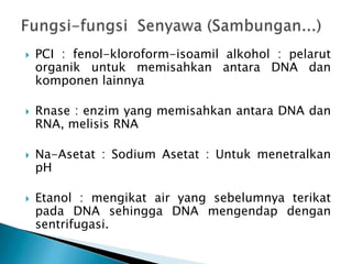  PCI : fenol-kloroform-isoamil alkohol : pelarut
organik untuk memisahkan antara DNA dan
komponen lainnya
 Rnase : enzim yang memisahkan antara DNA dan
RNA, melisis RNA
 Na-Asetat : Sodium Asetat : Untuk menetralkan
pH
 Etanol : mengikat air yang sebelumnya terikat
pada DNA sehingga DNA mengendap dengan
sentrifugasi.
 