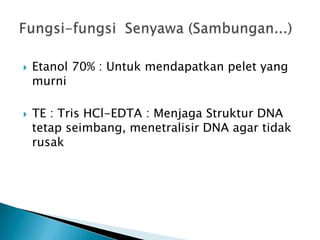  Etanol 70% : Untuk mendapatkan pelet yang
murni
 TE : Tris HCl-EDTA : Menjaga Struktur DNA
tetap seimbang, menetralisir DNA agar tidak
rusak
 