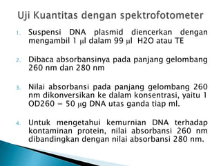 1. Suspensi DNA plasmid diencerkan dengan
mengambil 1 l dalam 99 l H2O atau TE
2. Dibaca absorbansinya pada panjang gelombang
260 nm dan 280 nm
3. Nilai absorbansi pada panjang gelombang 260
nm dikonversikan ke dalam konsentrasi, yaitu 1
OD260 = 50 g DNA utas ganda tiap ml.
4. Untuk mengetahui kemurnian DNA terhadap
kontaminan protein, nilai absorbansi 260 nm
dibandingkan dengan nilai absorbansi 280 nm.
 