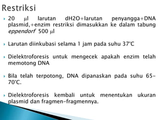  20 l larutan dH2O+larutan penyangga+DNA
plasmid,+enzim restriksi dimasukkan ke dalam tabung
eppendorf 500 l
 Larutan diinkubasi selama 1 jam pada suhu 37°C
 Dielektroforesis untuk mengecek apakah enzim telah
memotong DNA
 Bila telah terpotong, DNA dipanaskan pada suhu 65-
70°C.
 Dielektroforesis kembali untuk menentukan ukuran
plasmid dan fragmen-fragmennya.
 