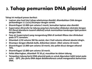 3. Tahap pemurnian DNA plasmid
Tahap ini meliputi proses berikut:
 Lapisan atas hasil dari tahap sebelumnya diambil, ditambahkan CIAA dengan
perbandingan 1:1 (v/v).Dicampur dengan vortek.
 Disentrifugasi 12.000 rpm selama 5 menit, kemudian lapisan atas diambil.
 Supernatan ditransfer ke tabung yang baru kemudian dilakukan ekstraksi dengan
PCI (fenol-kloroform-isoamil alkohol) untuk memisahkan kandungan lipid-protein
dengan DNA.
 Fase air (supernatan) yang mengandung DNA di tambah RNase dan diinkubasi
pada 37°C semalam.
 Ditambah 1/10 volume 3M Na asetat, dan 2 kali volume ethanol absolut dingin.
 Dicampur dengan dibolak-balik, didiamkan dalam -20oC selama 10 menit.
 Disentrifugasi 12.000 rpm selama 10 menit, lalu pellet dicuci dengan ethanol
70%.
 Disentrifugasi 12.000 rpm selama 10 menit.
 Pellet dikeringkan, ditambah TE 50 μl, masukkan ke dalam tabung.
 Tempatkan tabung berisi DNA plasmid pada es untuk digunakan lebih lanjut pada
suhu - 200C. jika perlu DNA dapat dielektroforesis untuk menganalisis kemurnian
DNA.
 