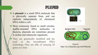 PLASMID
 A plasmid is a small DNA molecule that
is physically separate from, and can
replicate independently of, chromosal
DNA within a cell.
 Most commonly found as small circular,
double-stranded DNA molecules in
bacteria, plasmids are sometimes present
in archae and eukaryotic organisms.
 They are genetically modified and are
used in the recombinant DNA
technology..They are able of carrying 20
genes at a time
Source:
http://en.wikipedia.org/wiki/Plasmid
 