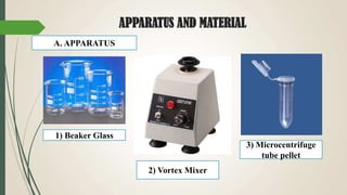 APPARATUS AND MATERIAL
A. APPARATUS
1) Beaker Glass
3) Microcentrifuge
tube pellet
2) Vortex Mixer
 