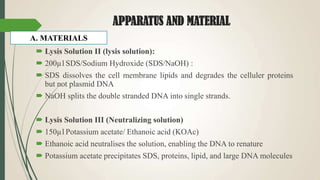 APPARATUS AND MATERIAL
 Lysis Solution II (lysis solution):
 200µl SDS/Sodium Hydroxide (SDS/NaOH) :
 SDS dissolves the cell membrane lipids and degrades the celluler proteins
but not plasmid DNA
 NaOH splits the double stranded DNA into single strands.
 Lysis Solution III (Neutralizing solution)
 150µl Potassium acetate/ Ethanoic acid (KOAc)
 Ethanoic acid neutralises the solution, enabling the DNA to renature
 Potassium acetate precipitates SDS, proteins, lipid, and large DNA molecules
A. MATERIALS
 
