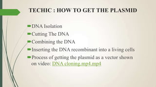 TECHIC : HOW TO GET THE PLASMID
DNA Isolation
Cutting The DNA
Combining the DNA
Inserting the DNA recombinant into a living cells
Process of getting the plasmid as a vector shown
on video: DNA cloning.mp4.mp4
 