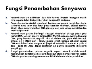 Fungsi Penambahan Senyawa
a. Penambahan C-I dilakukan dua kali karena protein mungkin masih
tersisa pada tube dari pembersihan dengan C-I pertama.
b. Penambahan Na Asetat membuat konsentrasi garam tinggi dan single
stranded RNA tidak bisa larut pada keadaan tersebut. etanol absolut
dingin akan mengendapkan DNA plasmid dan juga untuk membilas dan
mencuci plasmid.
c. Penambahan garam berfungsi sebagai neutralize charge pada gula
fosfat DNA. Ion-ion seperti kation (Na+ Mg2+) akan menyelimuti rantai
DNA yang bermuatan negatif. Jika di dalam air, gaya elektrostatik
antara ion + (Na+) dan - (DNA) masih lemah karena sebagian rantai
DNA masih berikatan dengan air (ingat air memiliki 2 muatan + pada H
dan - pada O). Atau dapat dikatakan air punya konstanta dielektrik
yang tinggi.
d. Fungsi penambahan pelarut organik seperti etanol adalah untuk
menurunkan konstanta dielektrik tersebut atau memperbanyak ikatan
DNA dengan Na+ sehingga membuat DNA lebih mudah terpresipitasi.
 