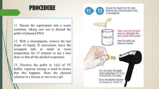 PROCEDURE
11. Decant the supernatant into a waste
container; taking care not to discard the
pellet of plasmid DNA
12. With a micropipette, remove the last
drops of liquid. If convenient, leave the
uncapped tube to stand at room
temperature for 15 minutes or use a hair
drier so that all the alcohol evaporates.
13. Dissolve the pellet in 15µl of TE
buffer; vigorous mixing is need to ensure
that this happens. Store the plasmid
solution in a freezer or run it on e gel
 