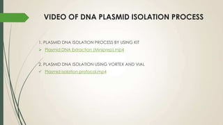VIDEO OF DNA PLASMID ISOLATION PROCESS
1. PLASMID DNA ISOLATION PROCESS BY USING KIT
 Plasmid DNA Extraction (Miniprep).mp4
2. PLASMID DNA ISOLATION USING VORTEX AND VIAL
 Plasmid isolation protocol.mp4
 