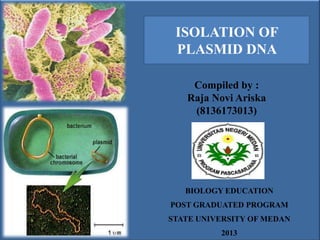 BIOLOGY EDUCATION
POST GRADUATED PROGRAM
STATE UNIVERSITY OF MEDAN
2013
ISOLATION OF
PLASMID DNA
Compiled by :
Raja Novi Ariska
(8136173013)
 
