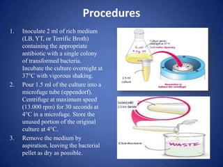 Procedures
1. Inoculate 2 ml of rich medium
(LB, YT, or Terrific Broth)
containing the appropriate
antibiotic with a single colony
of transformed bacteria.
Incubate the culture overnight at
37°C with vigorous shaking.
2. Pour 1.5 ml of the culture into a
microfuge tube (eppendorf).
Centrifuge at maximum speed
(13.000 rpm) for 30 seconds at
4°C in a microfuge. Store the
unused portion of the original
culture at 4°C.
3. Remove the medium by
aspiration, leaving the bacterial
pellet as dry as possible.
1.5 ml
culture
 