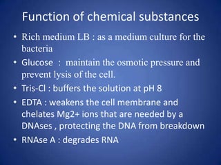 Function of chemical substances
• Rich medium LB : as a medium culture for the
bacteria
• Glucose : maintain the osmotic pressure and
prevent lysis of the cell.
• Tris-Cl : buffers the solution at pH 8
• EDTA : weakens the cell membrane and
chelates Mg2+ ions that are needed by a
DNAses , protecting the DNA from breakdown
• RNAse A : degrades RNA
 